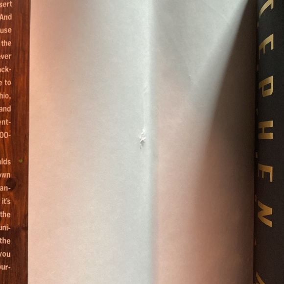 HARDCOVER Stephen King's: Desperation 1996 Publish Date - Picture 4 of 7